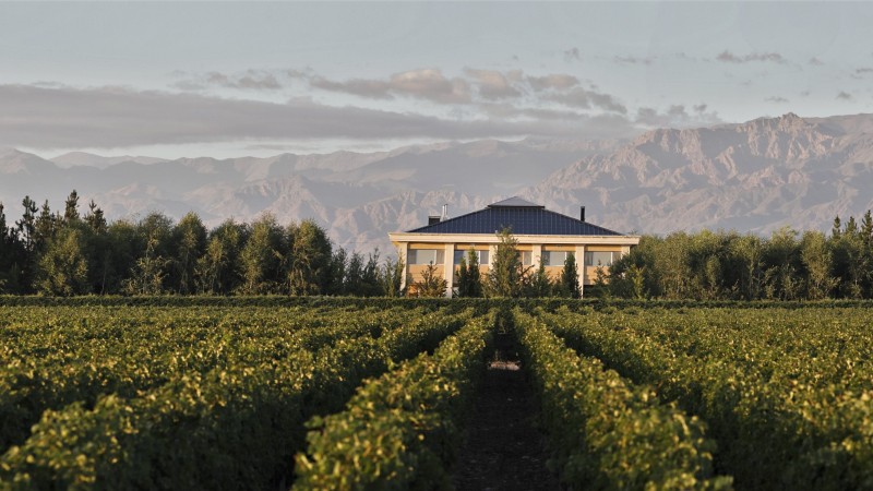 Una bodega reabre su Wine Hotel en Valle de Uco